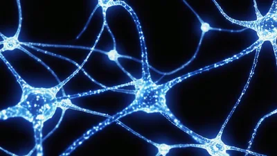 Glowing Neural Network Neurons Transmitting Electrical Signals