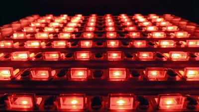 Red LED Light Panel Glowing In Dark