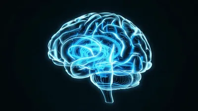 Glowing Digital Human Brain Rotating In Dark Space
