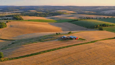 Aerial View Of Red Farm Buildings In Golden Fields