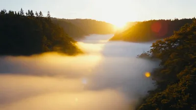 Golden Sunrise Over Foggy Mountain Valley