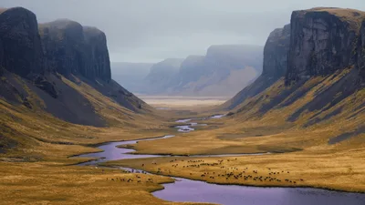 Herd Of Horses Grazing In A Vast Mountain Valley