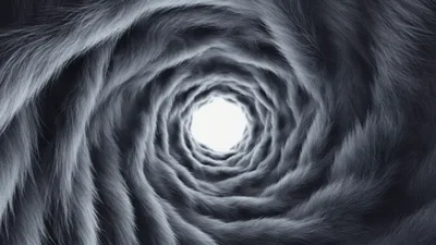 Abstract Tunnel Of Dark Fur Rotating In Motion