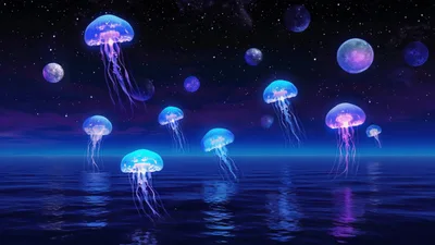Glowing Jellyfish Floating Above Calm Ocean Under Starry Sky
