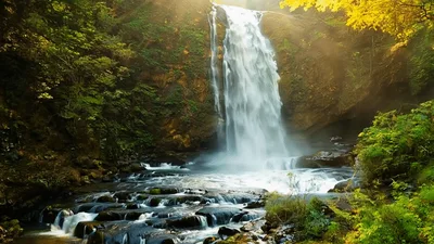 Sunlight Beaming Over A Lush Forest Waterfall