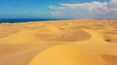 Aerial View Of Vast Golden Sand Dunes Near Ocean