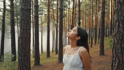Young Woman Looking Up In A Misty Pine Forest