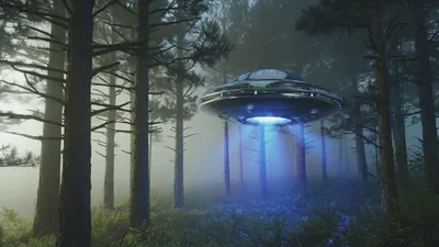 UFO Hovering Above A Misty Pine Forest