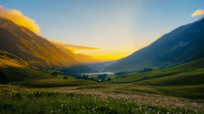 Sunset Over Alpine Valley With Wildflower Meadow
