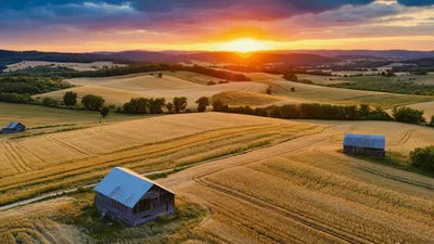 Aerial View Of Golden Wheat Fields At Sunset