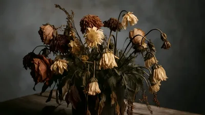 Withered Flowers In A Vase Slowly Rotating