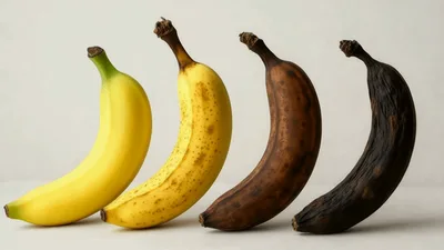 Four Bananas Showing Different Stages Of Ripening