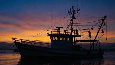 Fishing Boat Silhouette Floating On Calm Water At Sunset