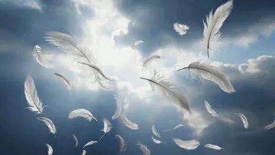 White Feathers Floating In The Sky