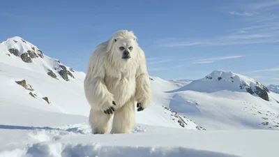 Yeti Emerging From Behind A Large Snowy Rock