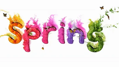 Colorful Spring Text Animation With Butterflies And Floral Elements