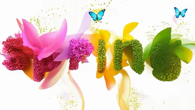 Animated Spring Text Reveal With Colorful Floral Elements