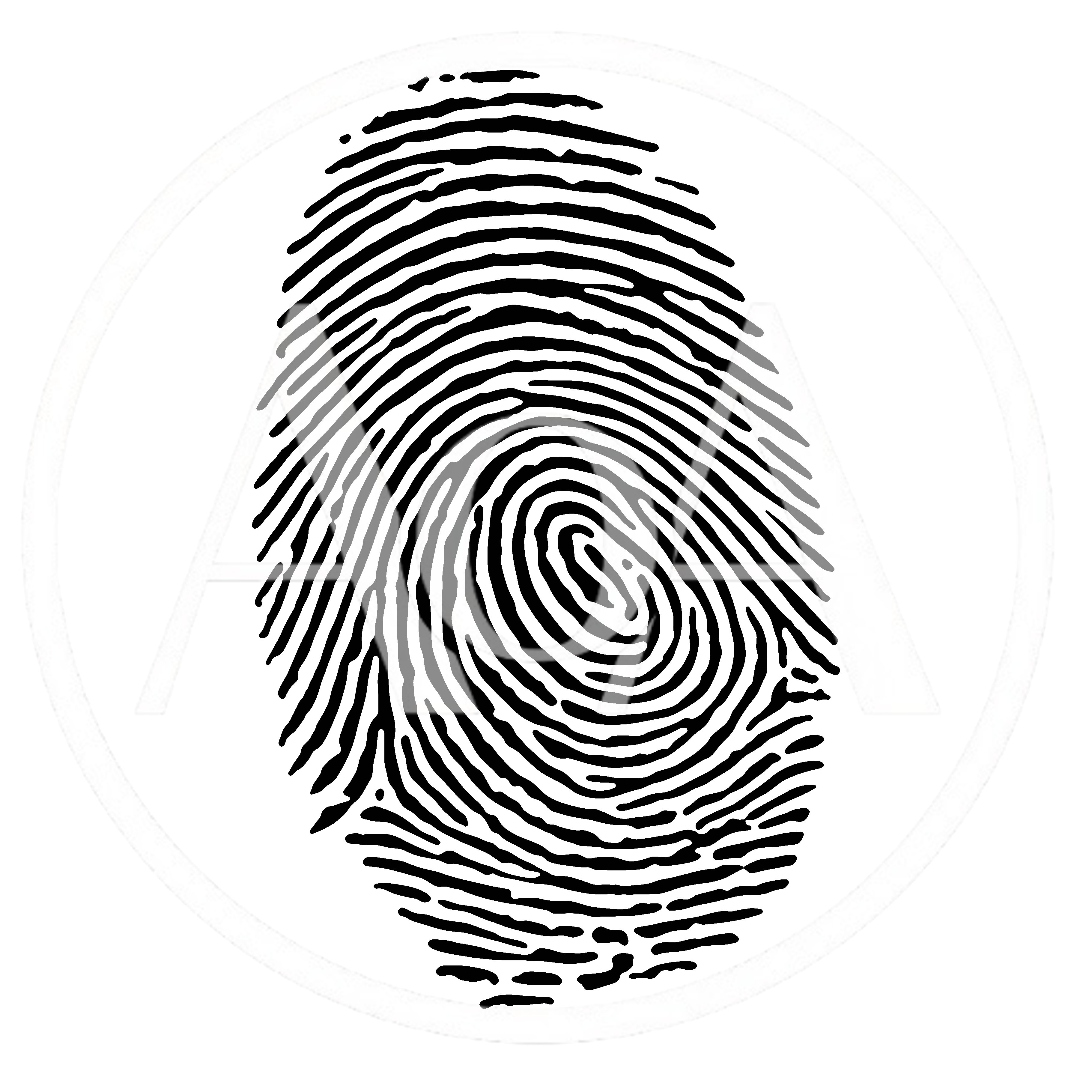 Black Ink Fingerprint Pattern On White Background
