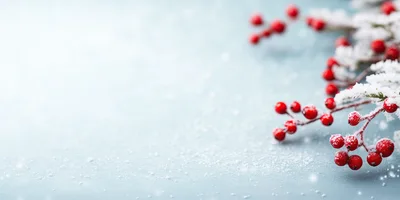 Frosted Red Holly Berries On Light Blue Background