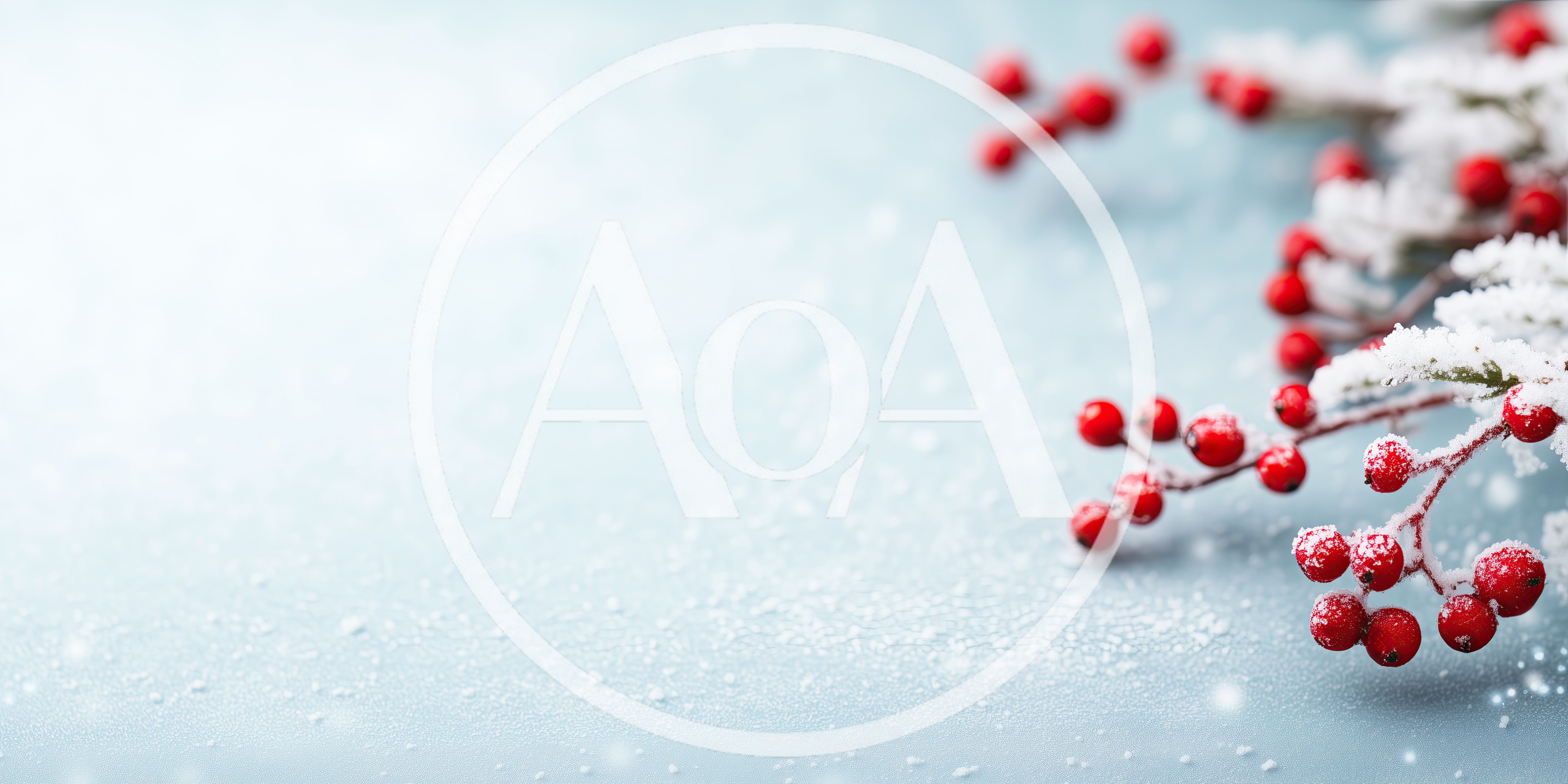 Frosted Red Holly Berries On Light Blue Background