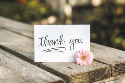 Thank You Note Card With Pink Flower On Wooden Bench