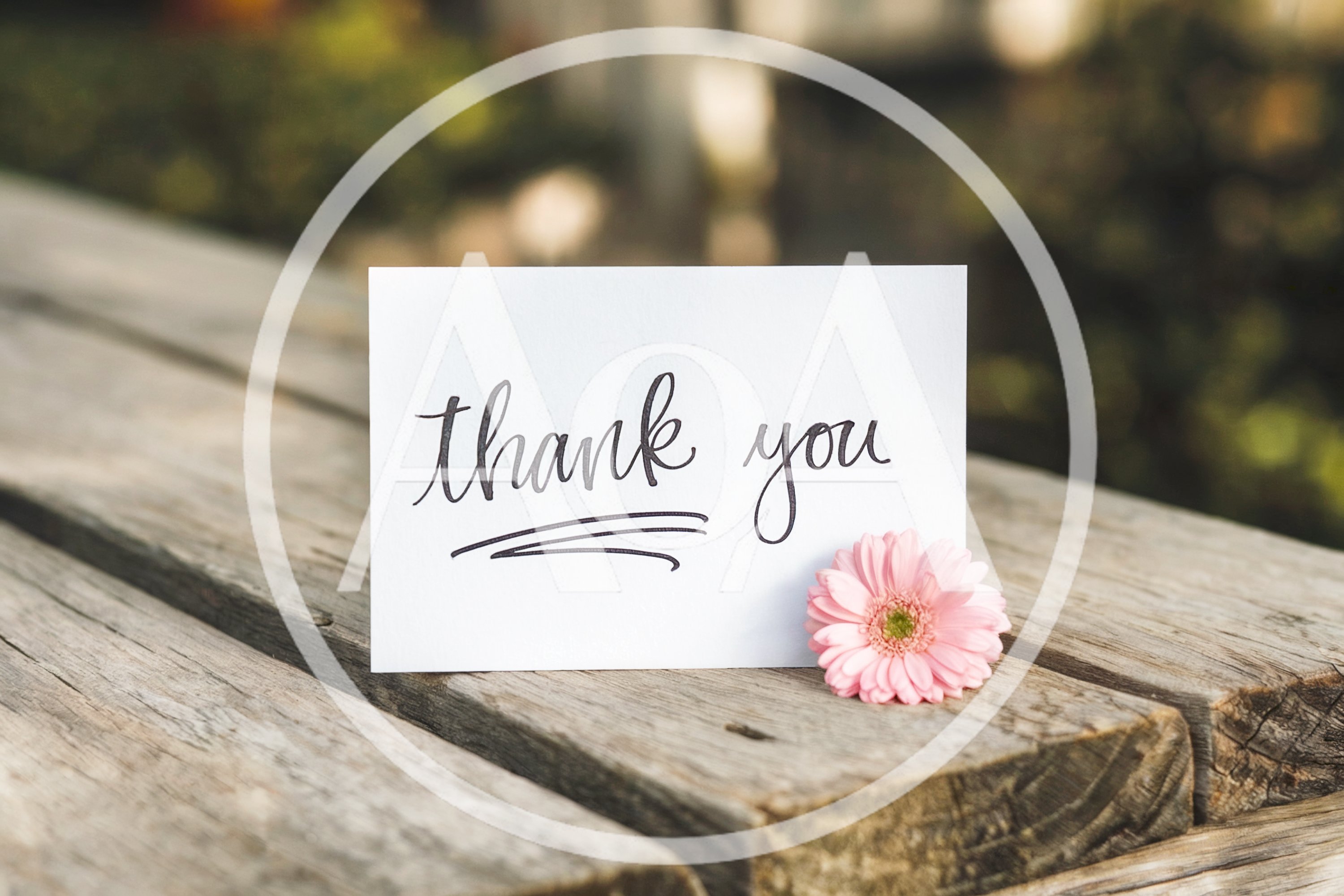 Thank You Note Card With Pink Flower On Wooden Bench