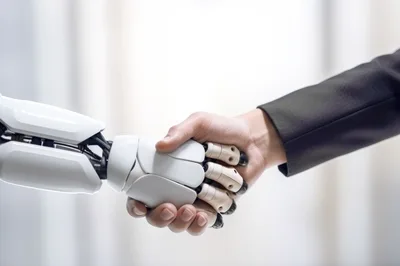 Robot And Human Handshake In Professional Setting