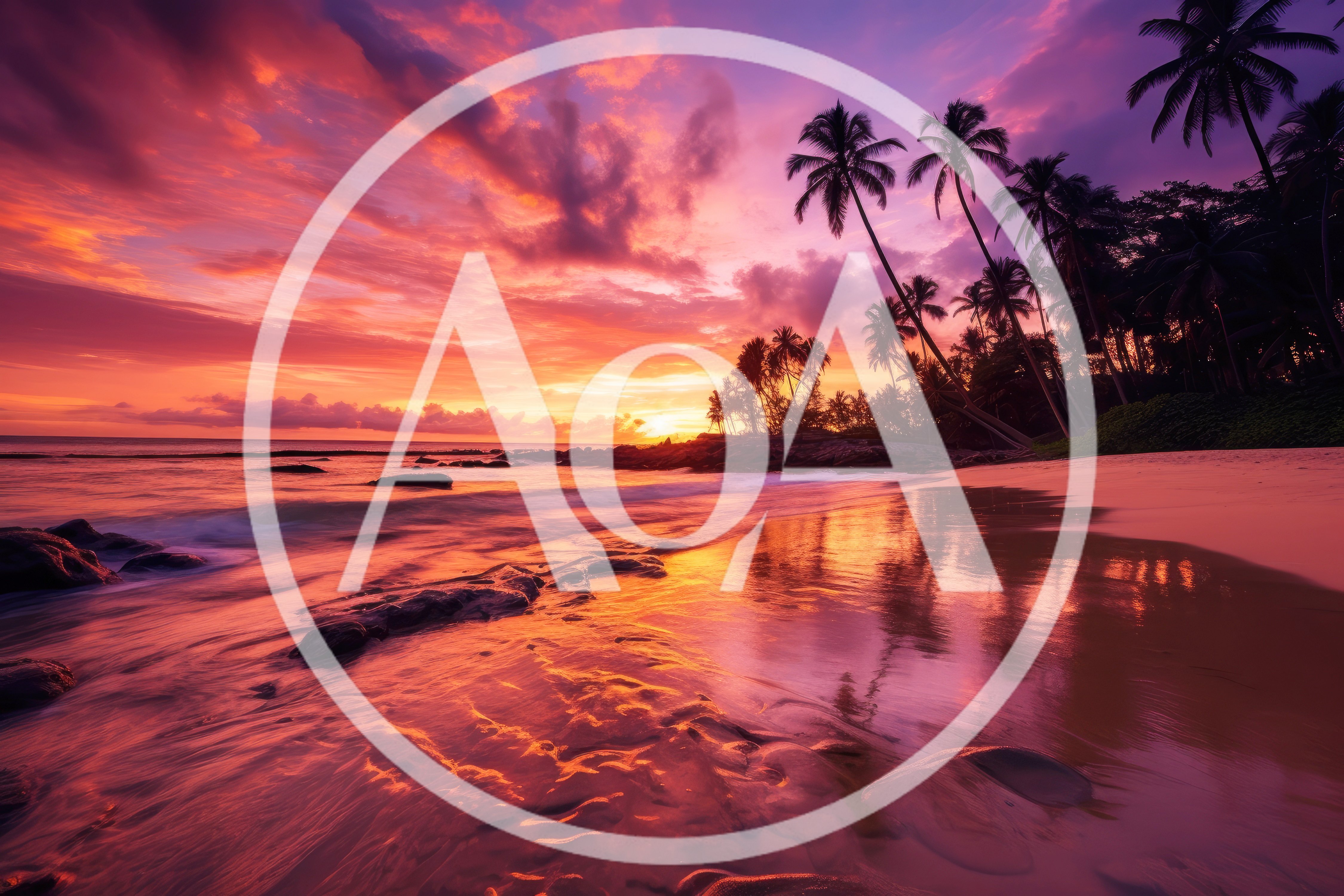 Tropical Beach Sunset With Palm Trees