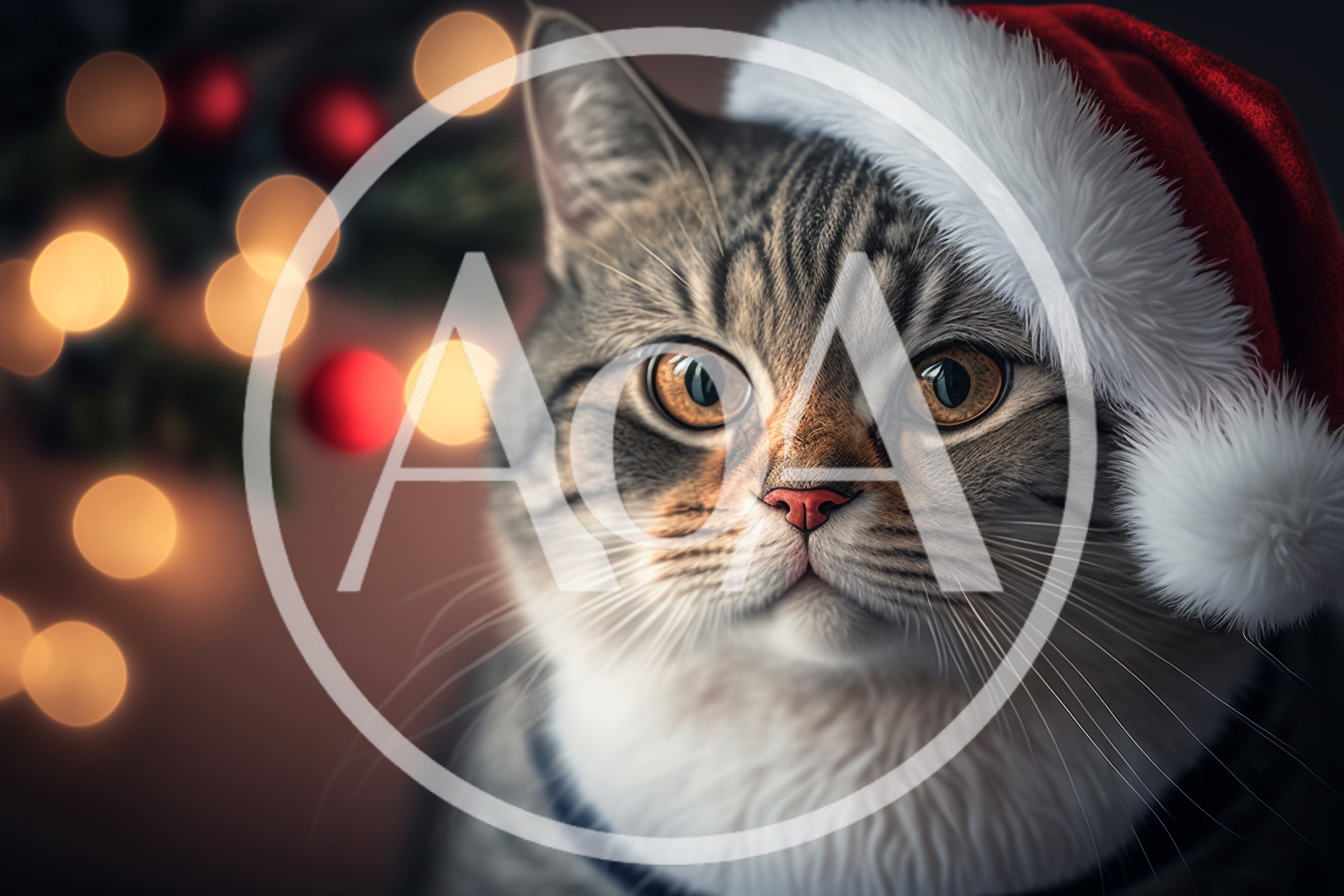 Portrait Of A Cute Cat Wearing A Santa Hat