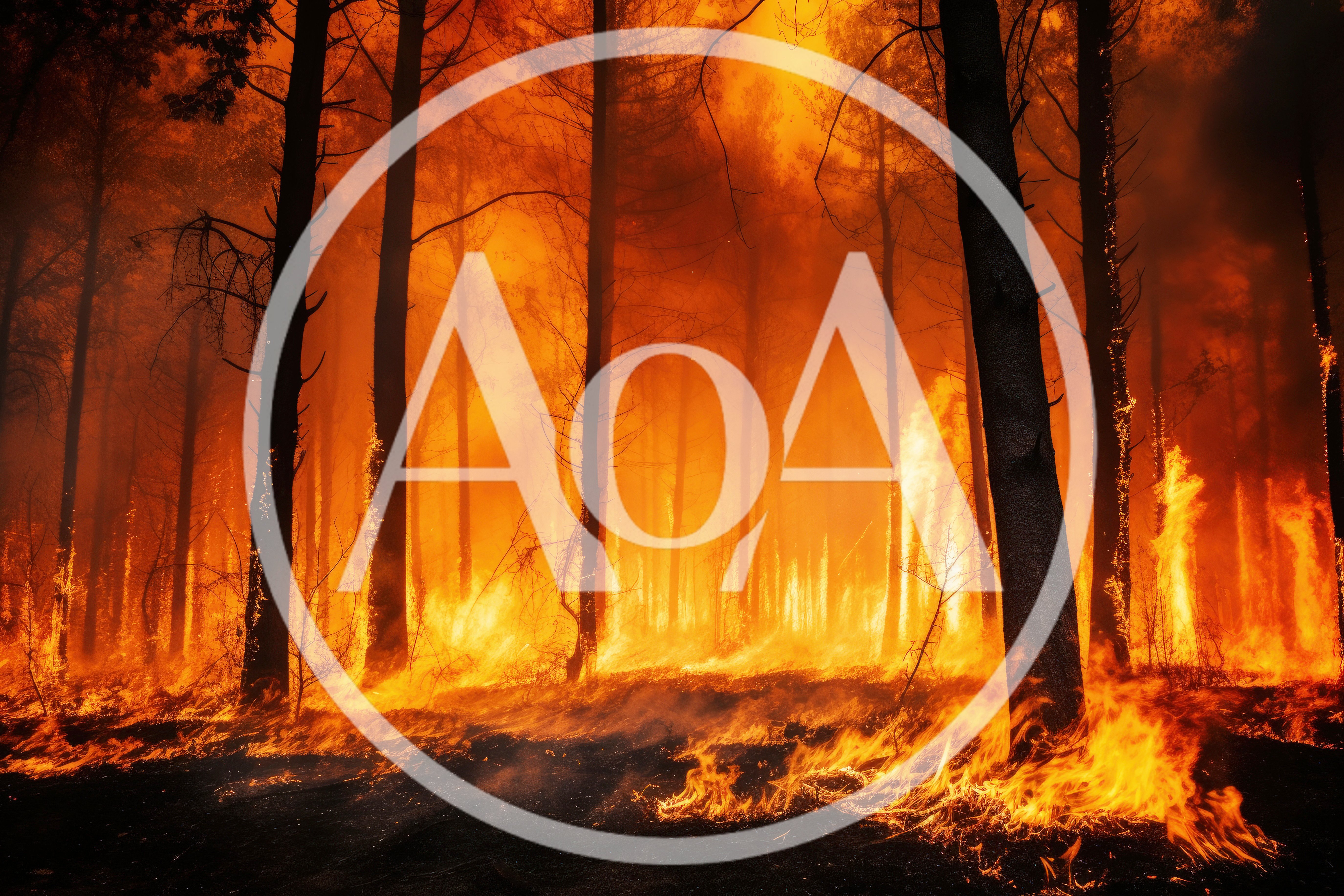Intense Forest Fire Burning Through Dense Woodland