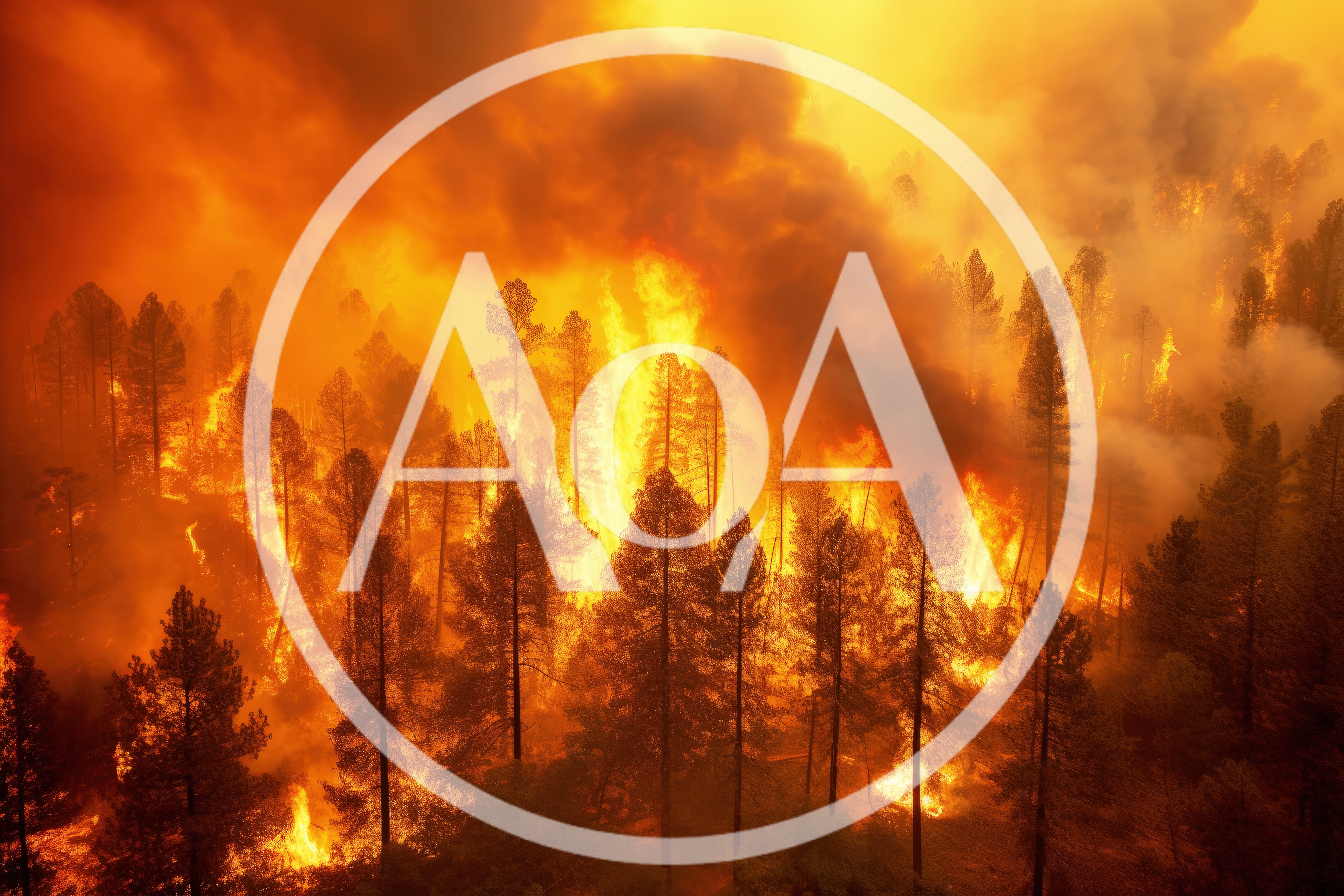 Intense Forest Fire Burning Through Dense Pine Woodland