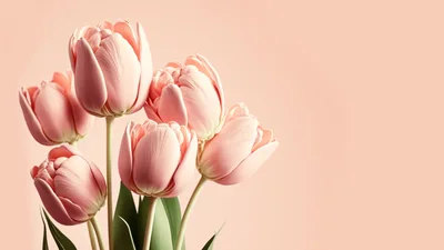 Soft Pink Tulip Bouquet on Pastel Background