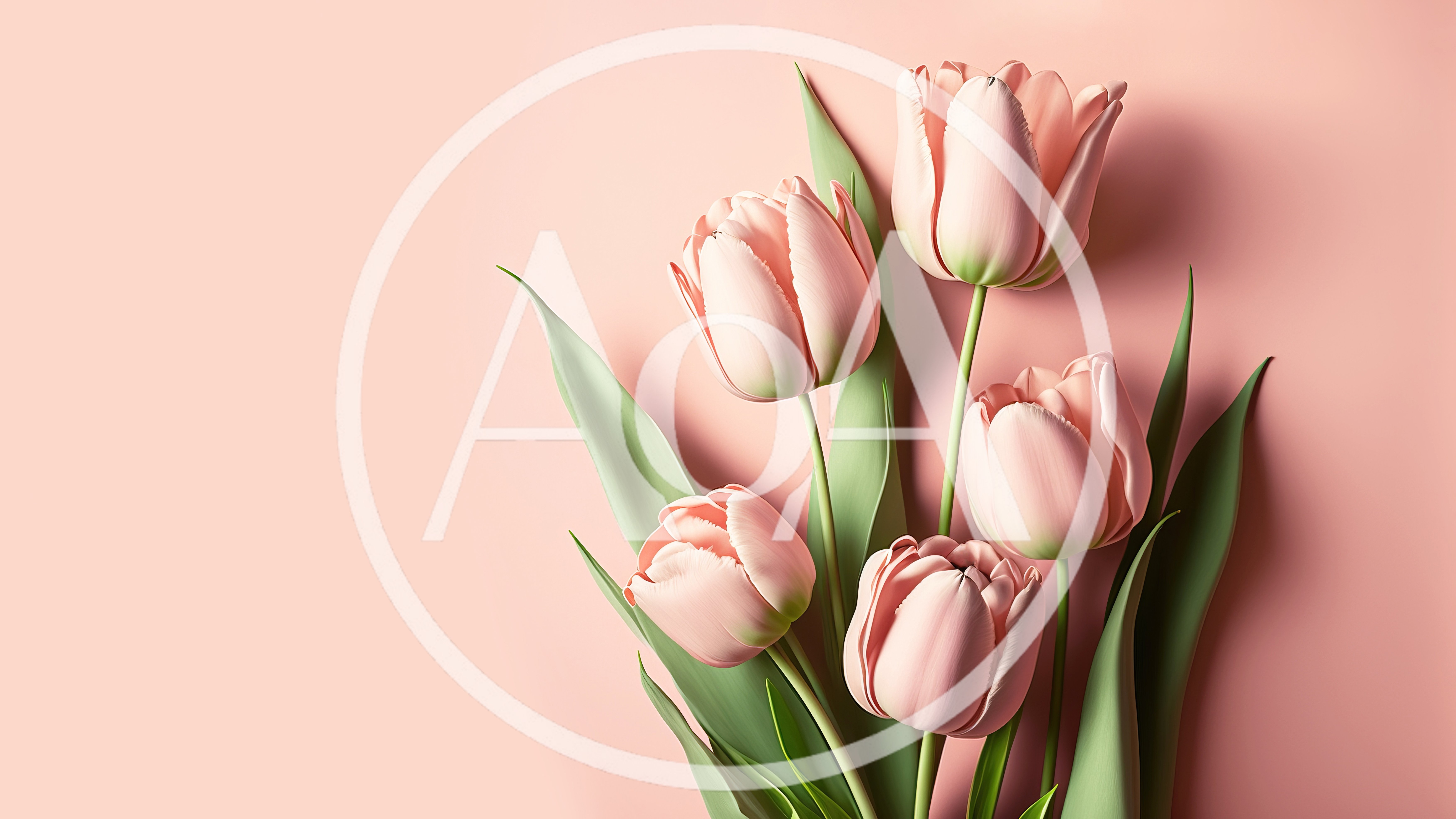 Five Soft Pink Tulips On Pastel Background