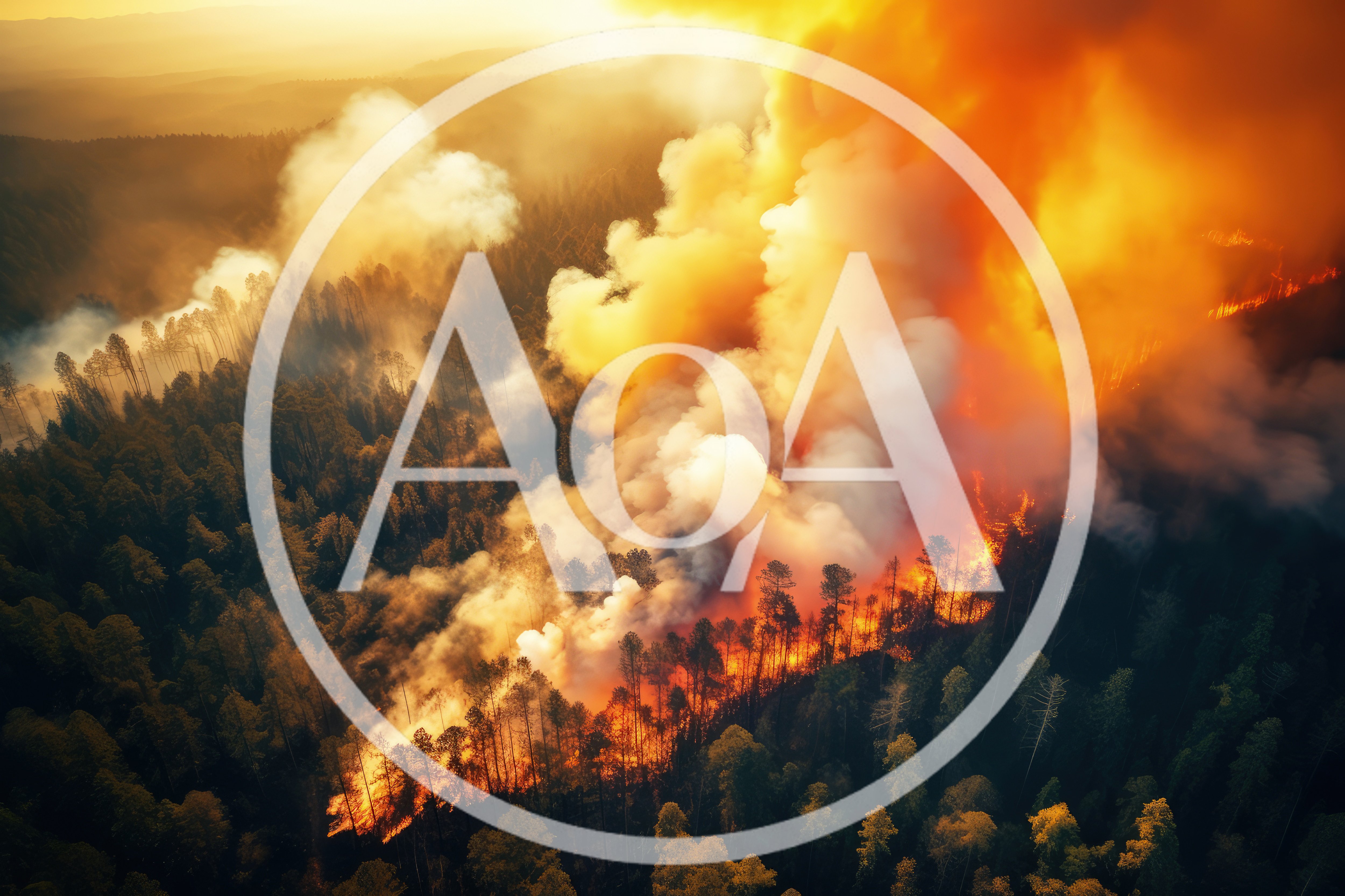 Aerial View Of A Massive Forest Wildfire