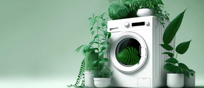 White Washing Machine Surrounded By Lush Green Houseplants