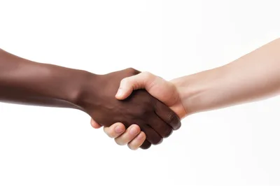 Diverse Hands Shaking In A Professional Agreement