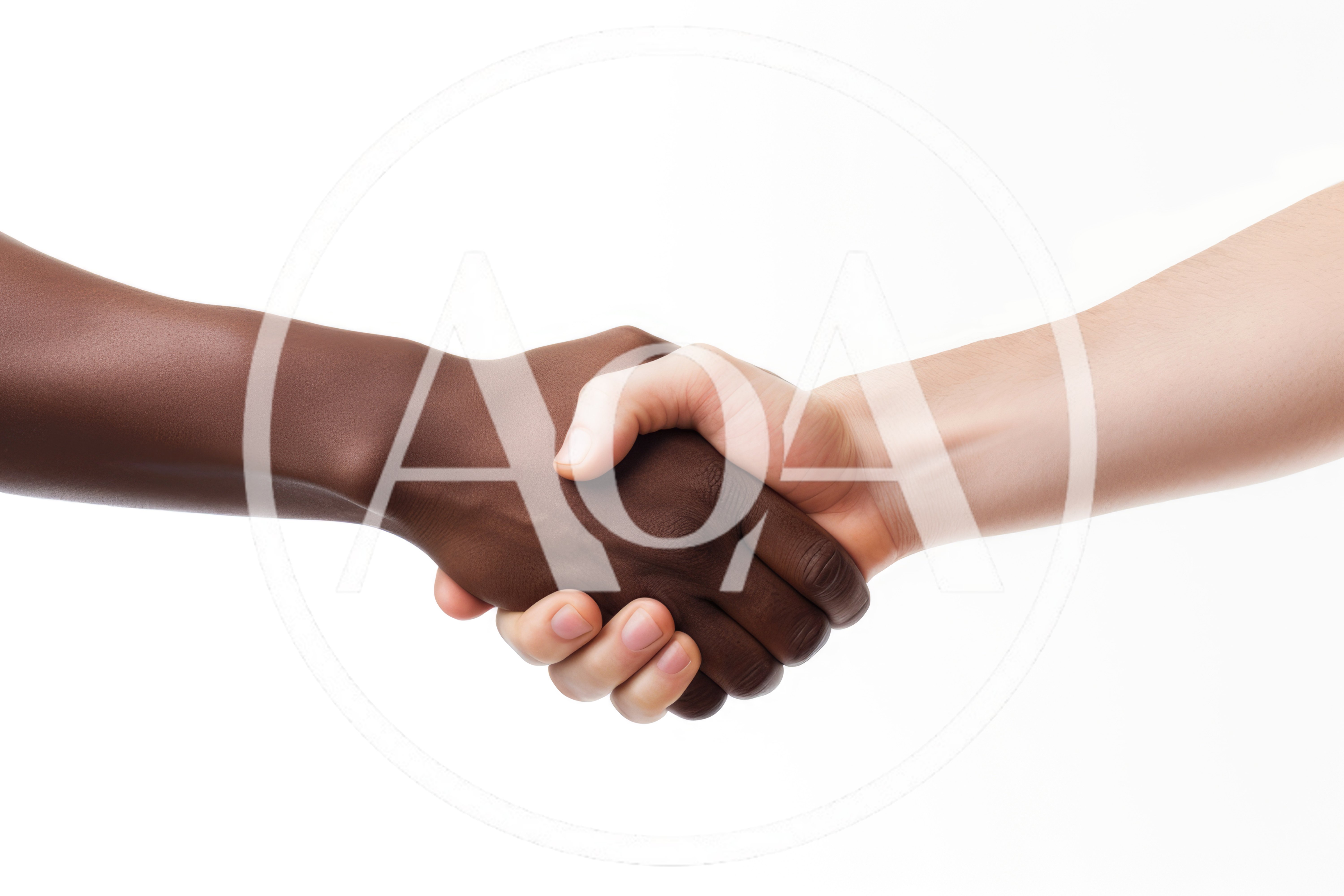 Diverse Hands Shaking In A Professional Agreement