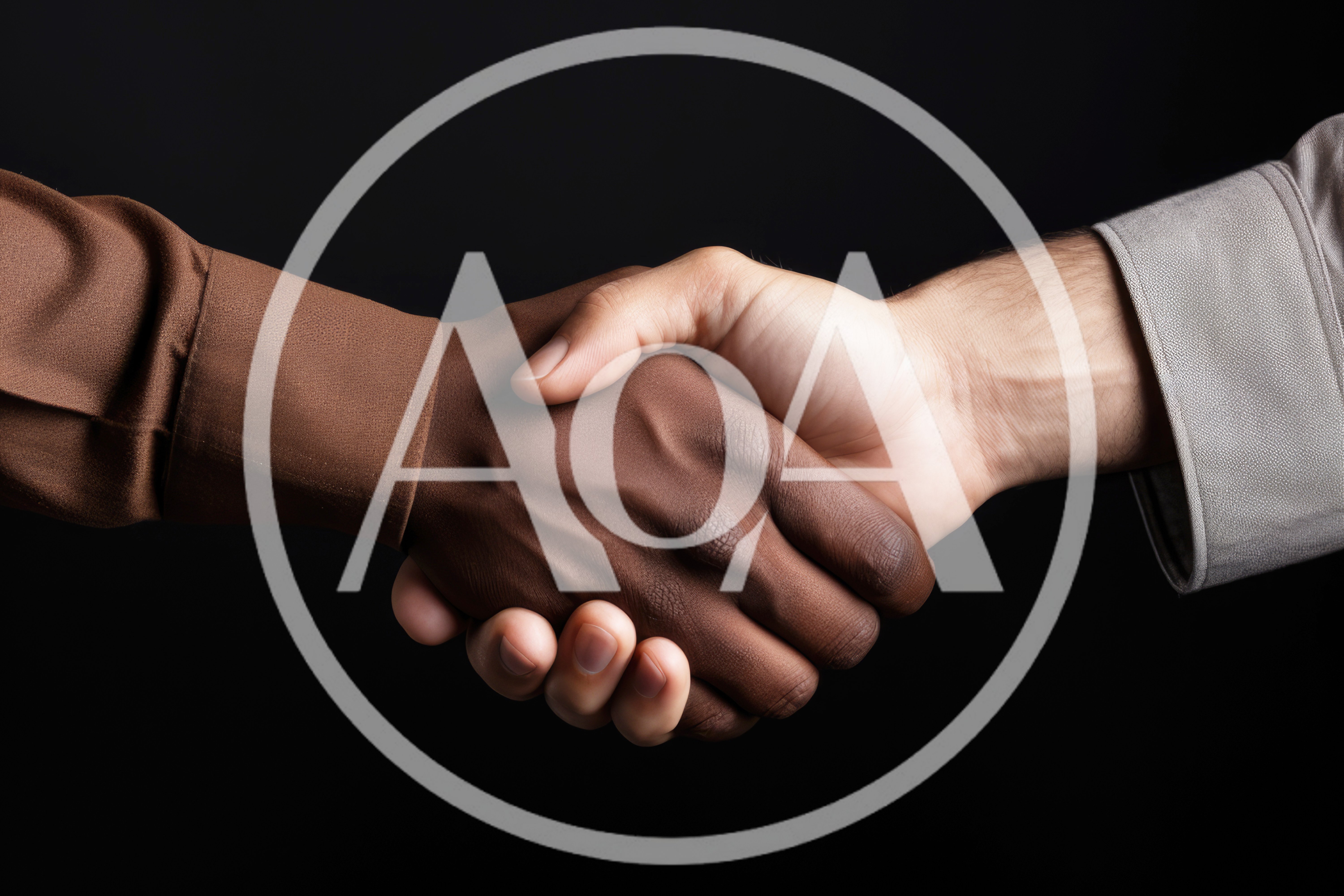 Diverse Business Professionals Shaking Hands