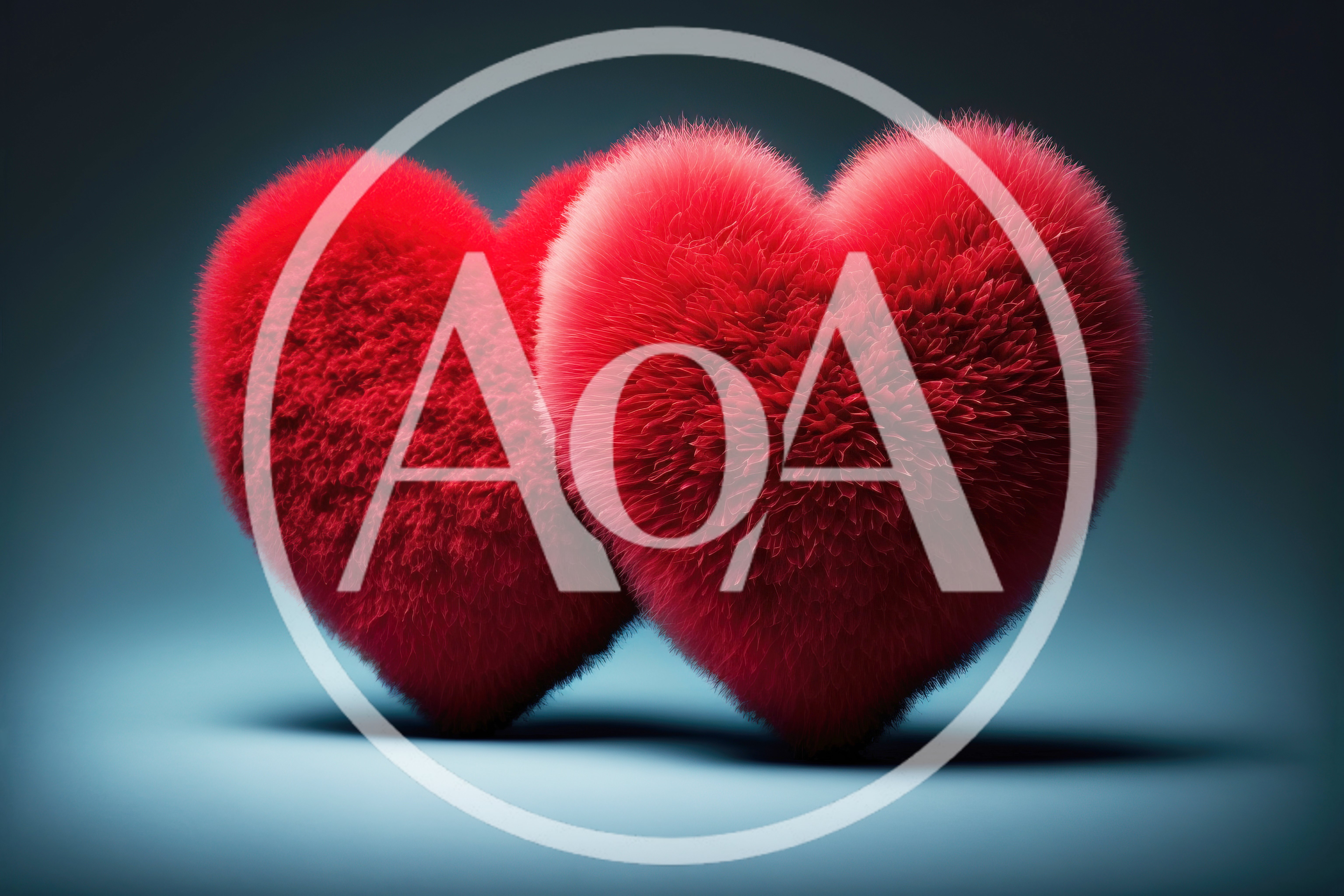 Two Fluffy Red Heart Shaped Objects