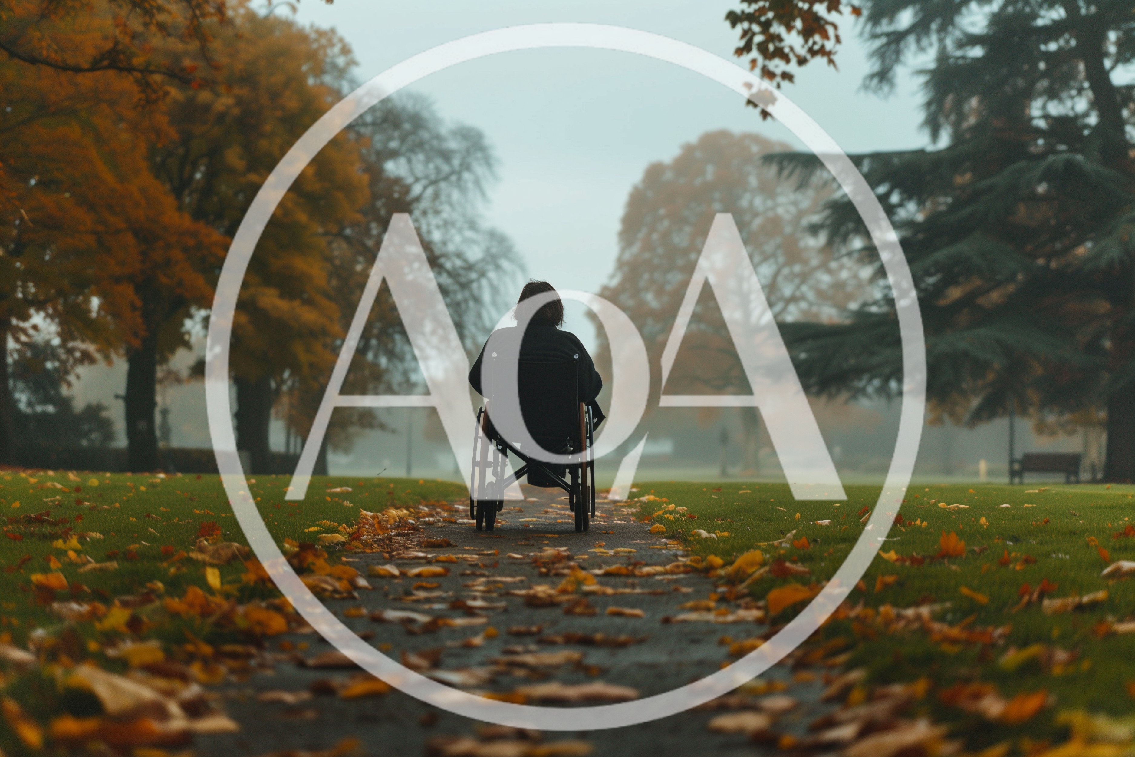 Person In Wheelchair On A Foggy Autumn Path