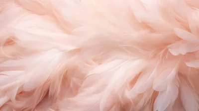 Soft Pastel Pink Feather Texture Background