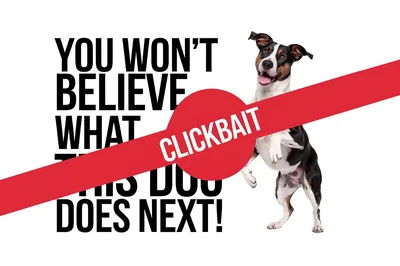 Clickbait Text Overlay With A Happy Standing Dog