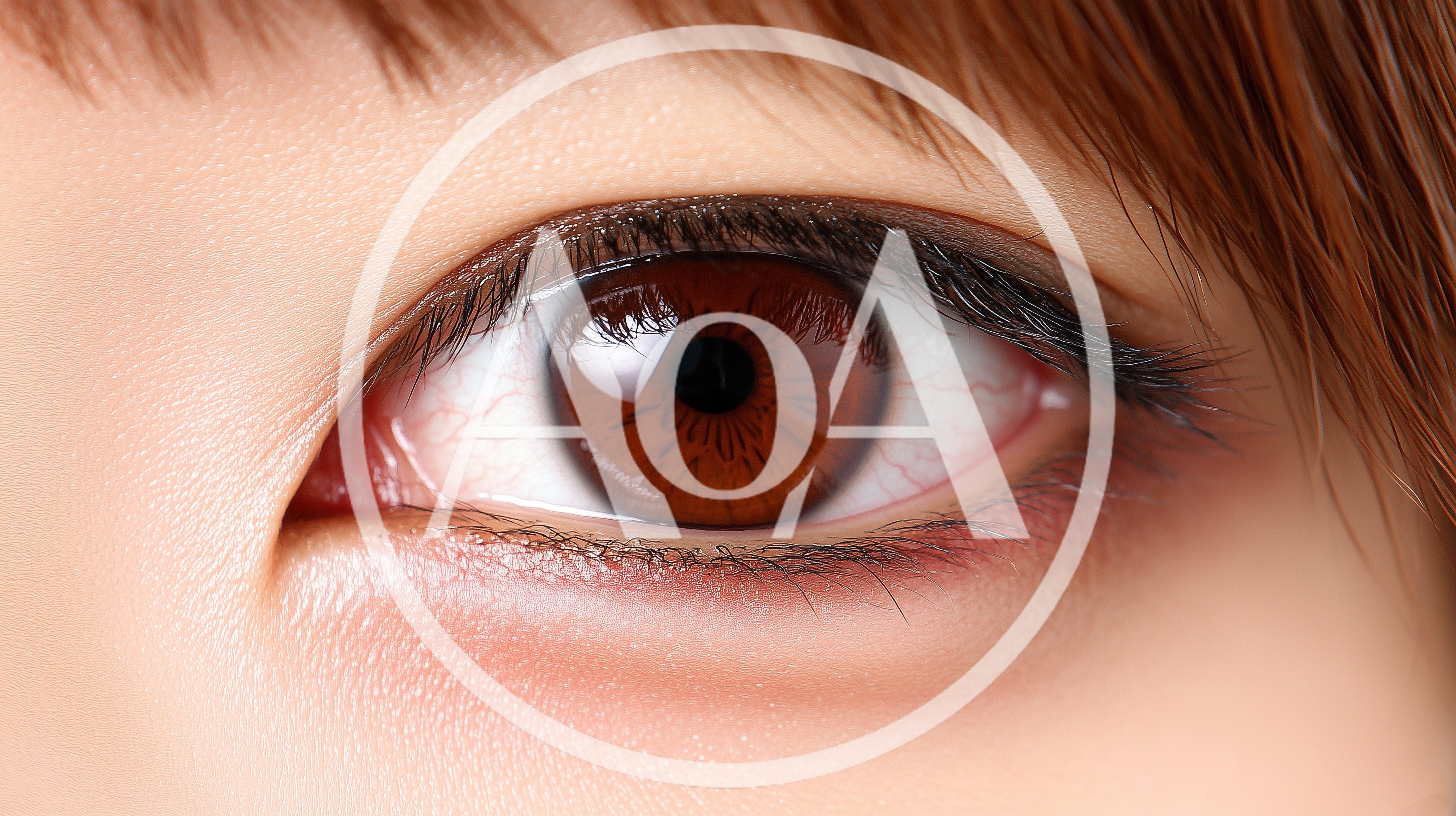 Close Up Of A Human Brown Eye