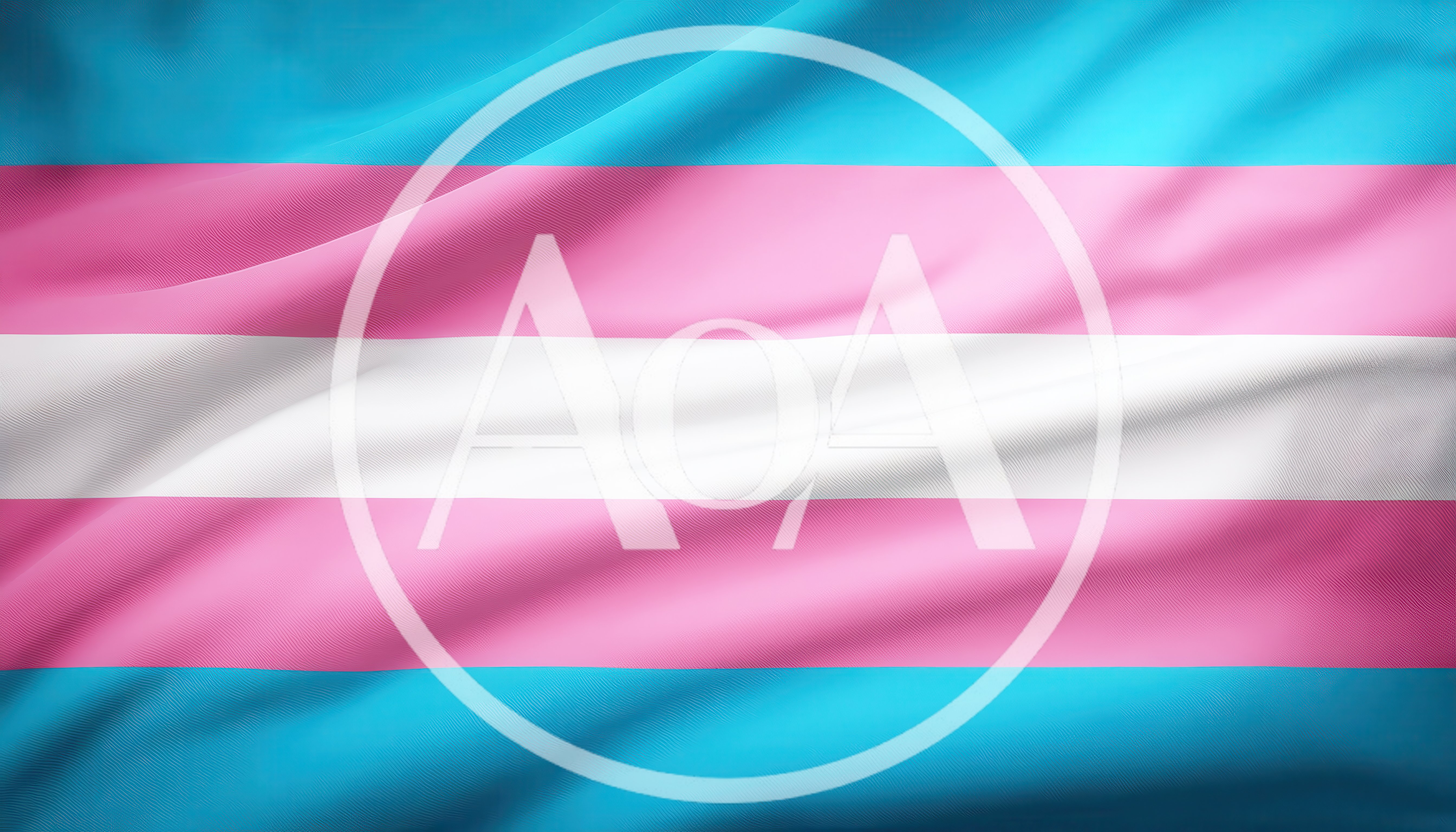 Waving Transgender Pride Flag With Soft Fabric Texture