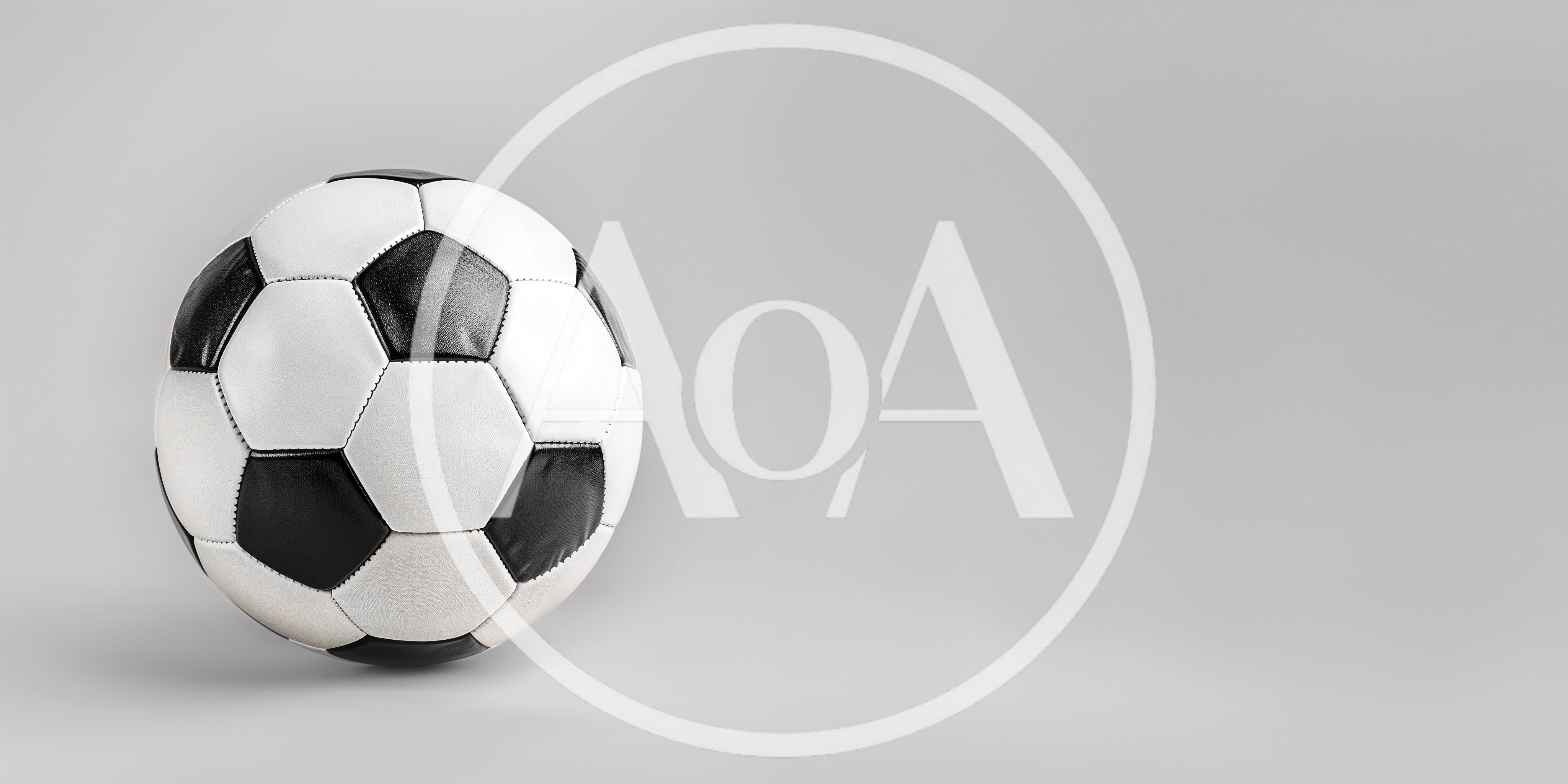 Classic Black and White Soccer Ball