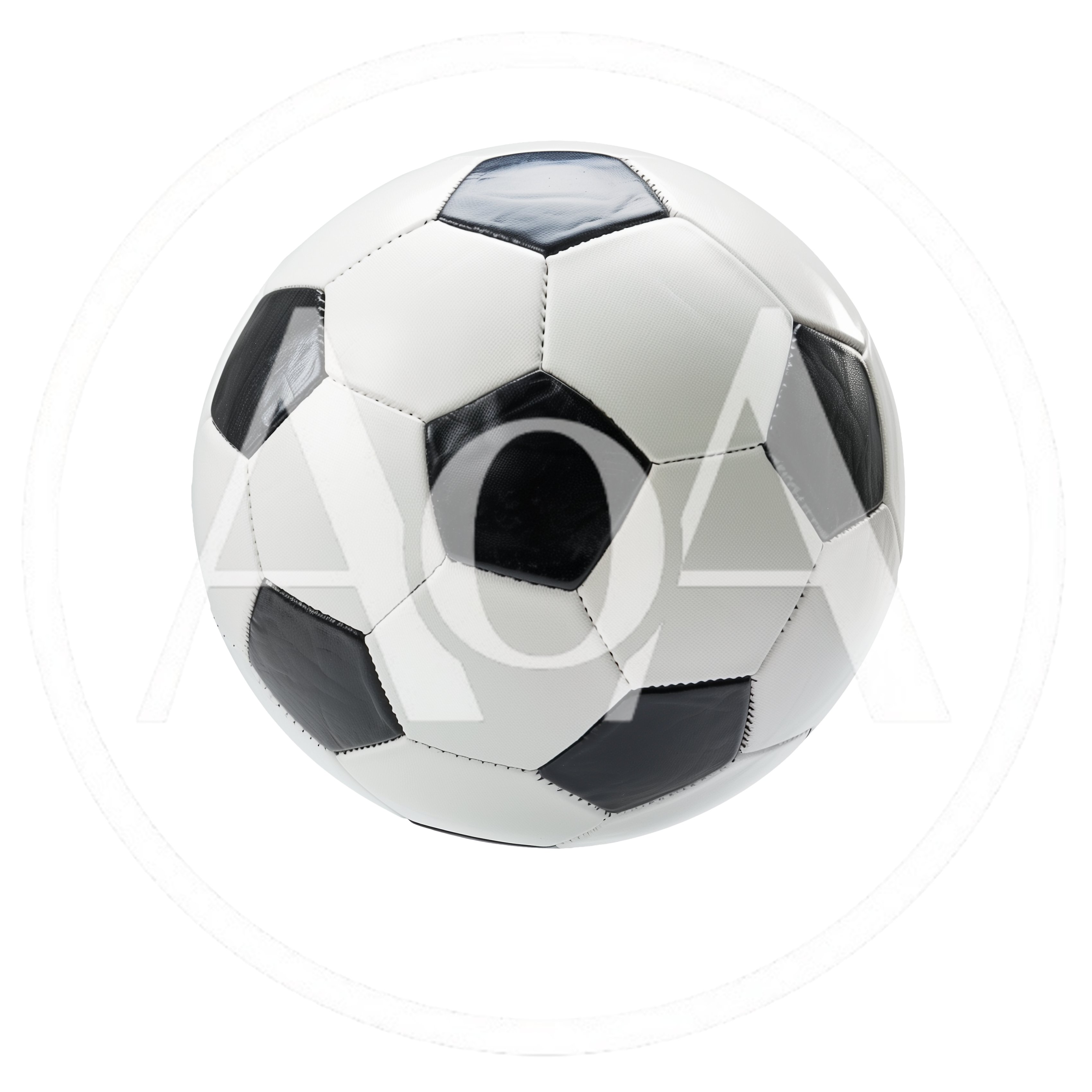 Classic Black and White Soccer Ball Isolated