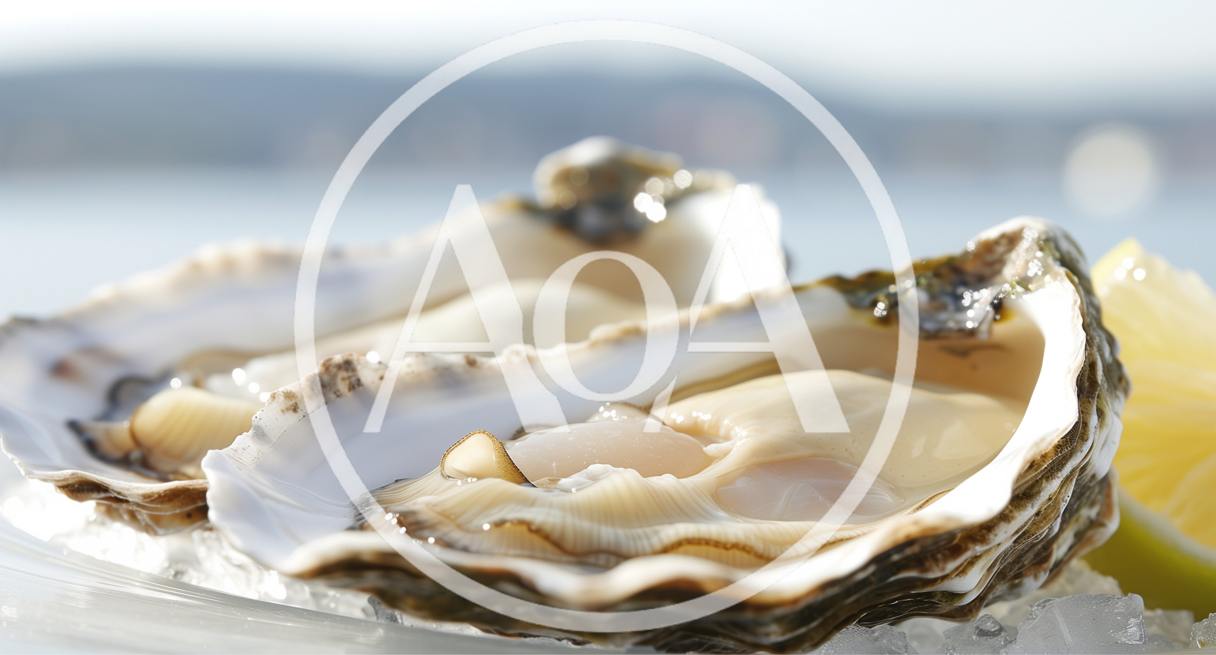 Fresh Raw Oysters Served On Ice With Lemon