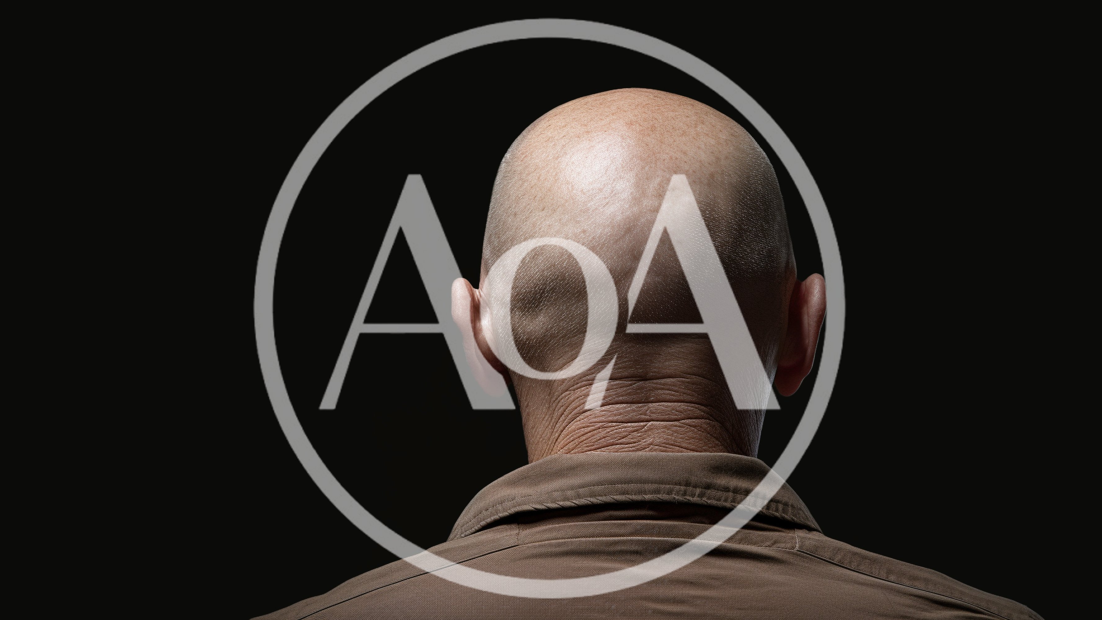 Back View Of A Bald Man In A Brown Shirt