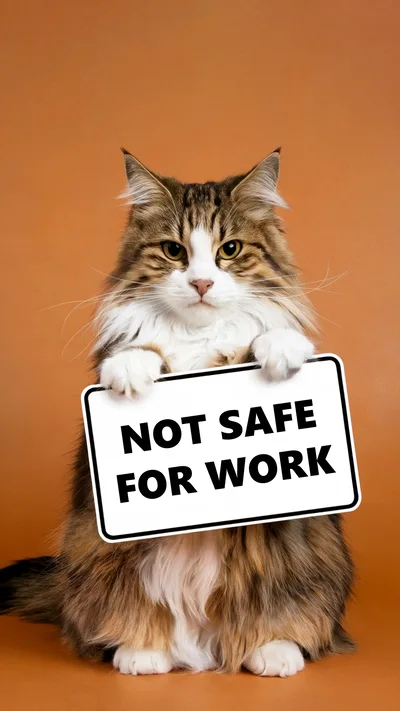 Fluffy Maine Coon Cat Holding Not Safe For Work Sign