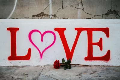 Red Rose Placed Beneath Love Graffiti On Concrete Wall